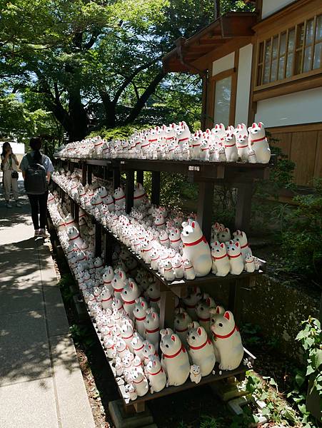 東京自由行 貓奴必訪東京人氣打卡景點，充滿招福貓的豪德寺