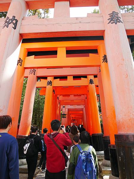 京都自由行 伏見稻荷大社千鳥居散步 京都自由行 伏見稻荷大社千鳥居散步