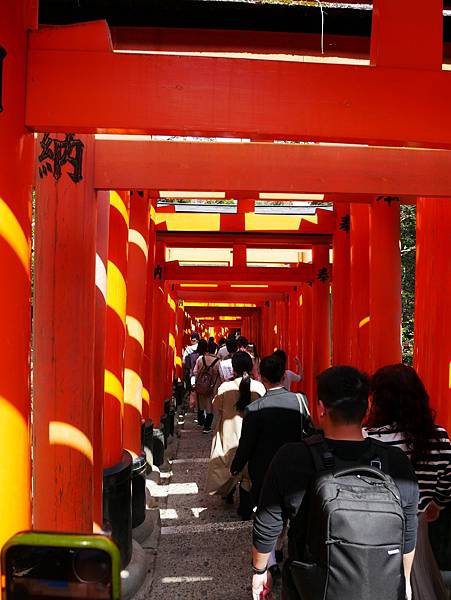 京都自由行 伏見稻荷大社千鳥居散步 京都自由行 伏見稻荷大社千鳥居散步