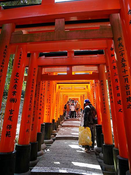 京都自由行 伏見稻荷大社千鳥居散步 京都自由行 伏見稻荷大社千鳥居散步