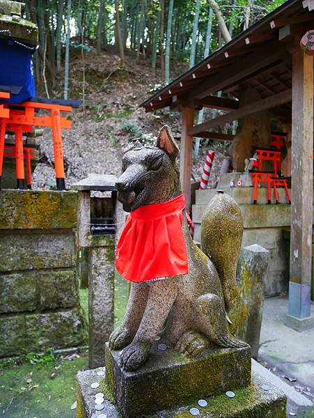 京都自由行 伏見稻荷大社千鳥居散步 京都自由行 伏見稻荷大社千鳥居散步