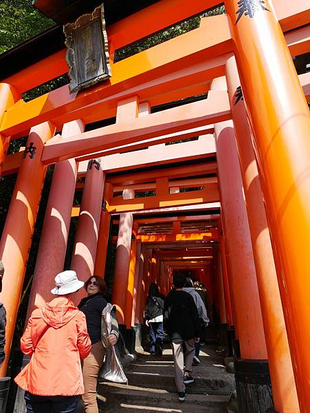 京都自由行 伏見稻荷大社千鳥居散步 京都自由行 伏見稻荷大社千鳥居散步