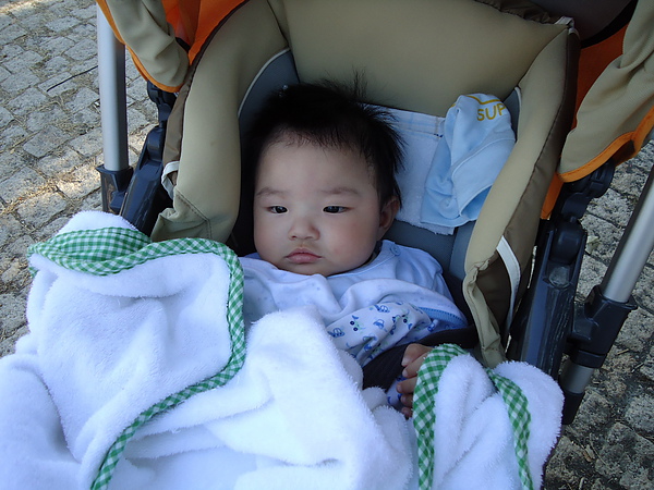 DSC00196_調整大小.JPG