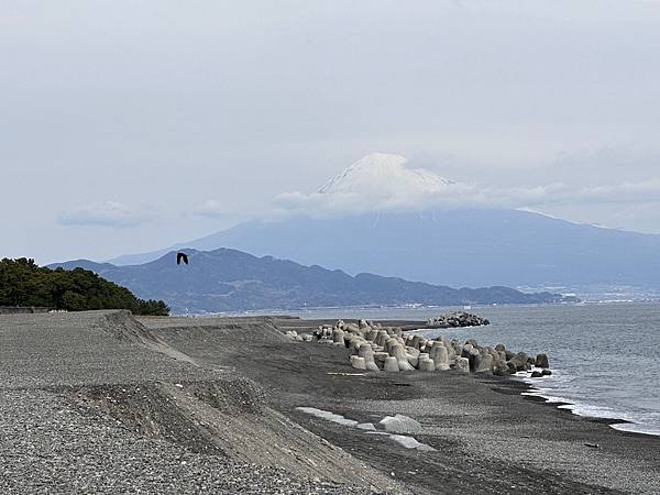 2024春靜岡也有富士山 (4) <清水篇>新日本三景三保