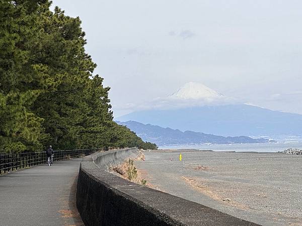 2024春靜岡也有富士山 (4) <清水篇>新日本三景三保