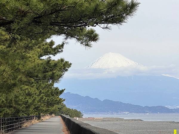 2024春靜岡也有富士山 (4) <清水篇>新日本三景三保