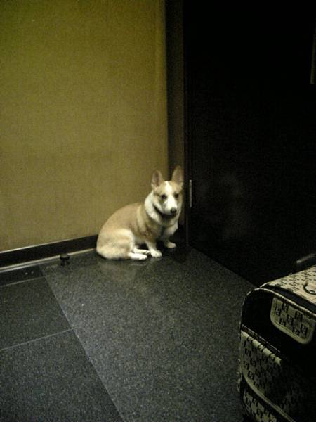 Maru_20090919.jpg