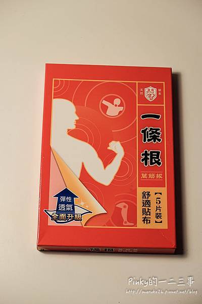 _DSF6969.jpg 試用