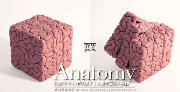 Jason Freeny 解剖學-15