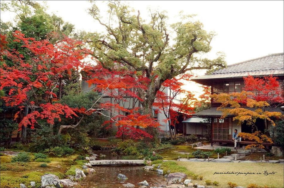 京都賞楓 賞楓秘境 無鄰菴 むりんあん 布丁 食 遊 記 痞客邦 京都賞楓 賞楓秘境 無鄰菴 むりんあん 布丁 食 遊 記 痞客邦