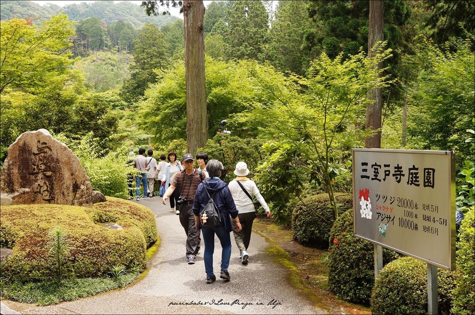 12三室戶寺庭園1