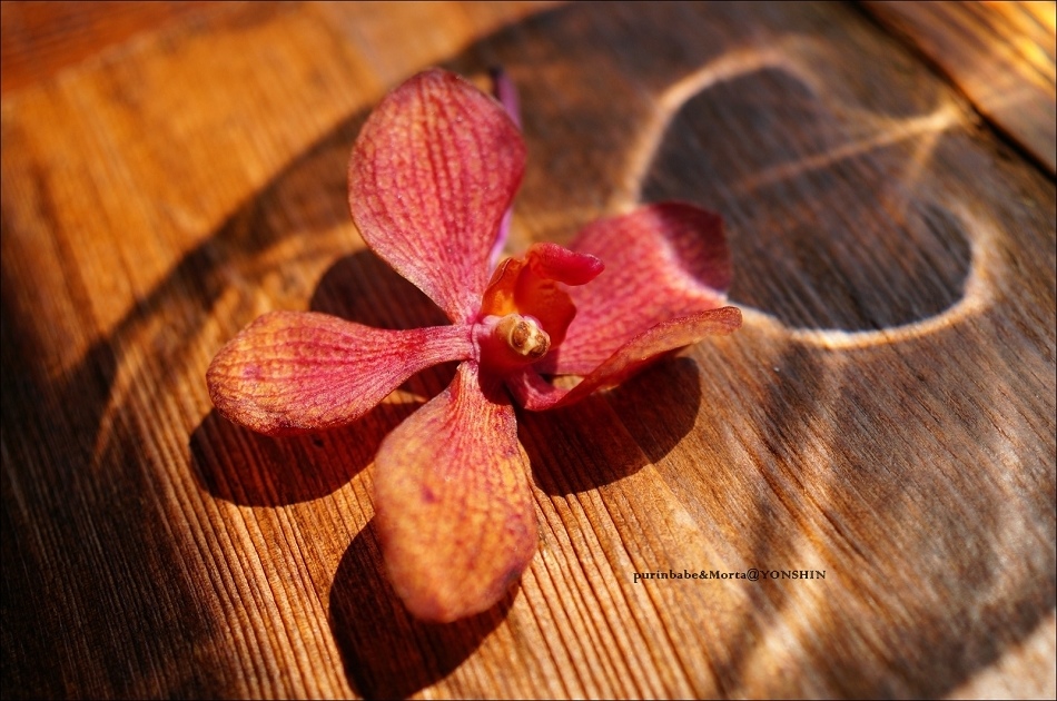 26店內一隅8 26店內一隅8