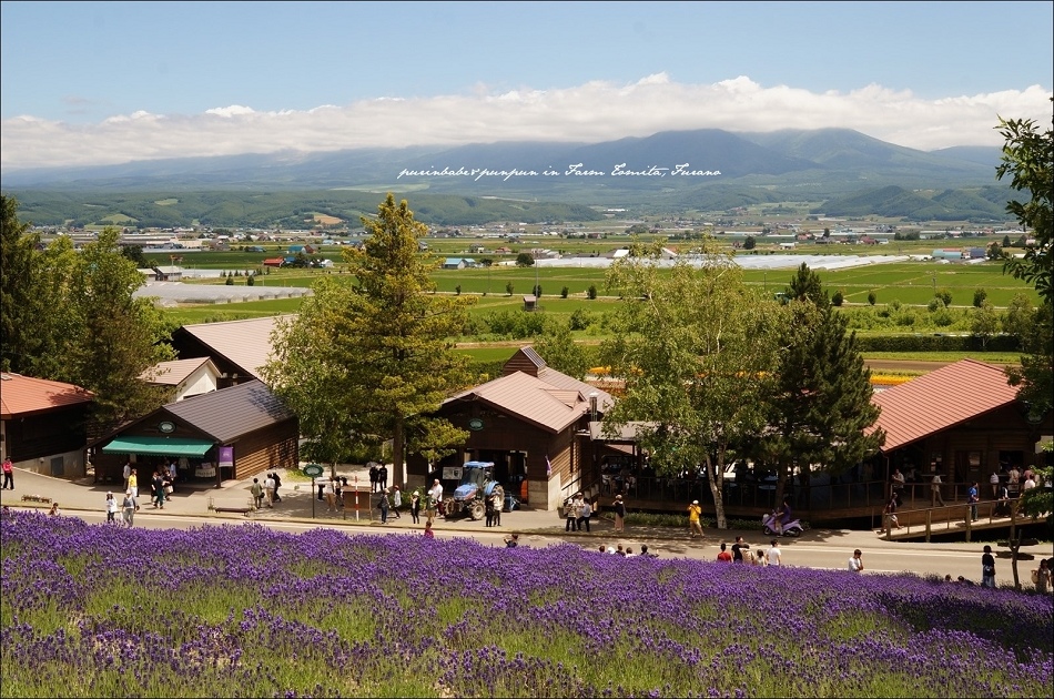 2富田農場