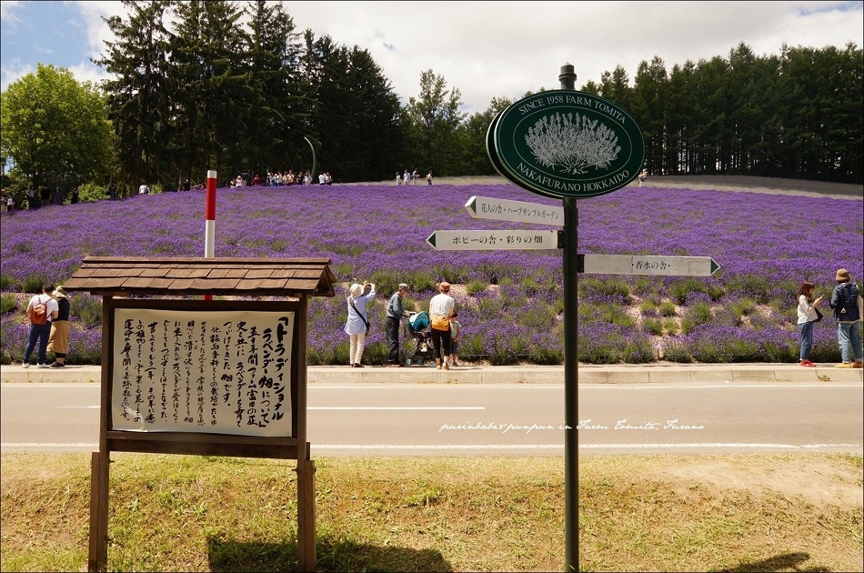 8富田農場入口