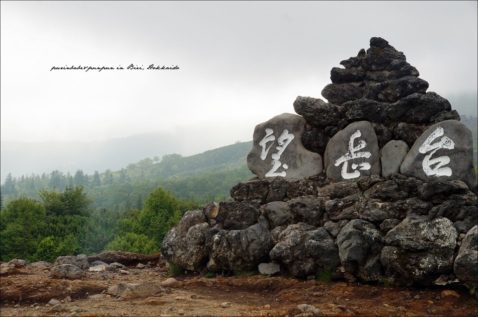 20十勝岳望岳台4