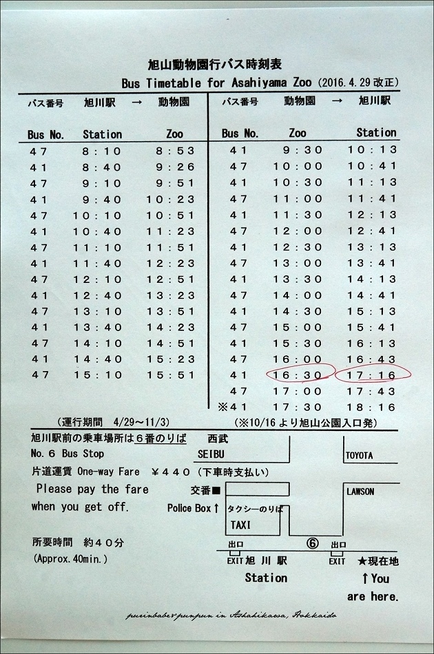 6旭山動物園巴士時刻表