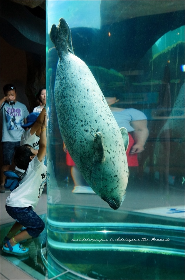 20海豹館4