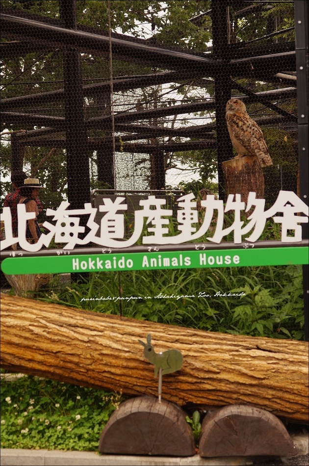 37北海道產動物舍