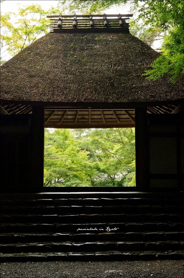 9法然院茅葺山門2