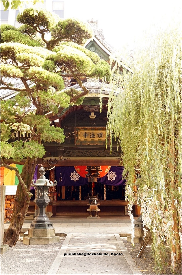 17六角堂頂法寺1