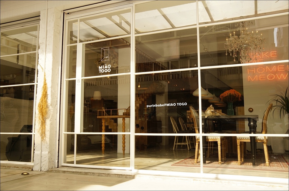 4外帶一隻貓3 4外帶一隻貓3