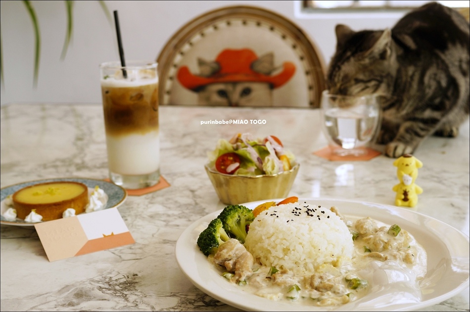 40外帶一隻貓餐點 40外帶一隻貓餐點