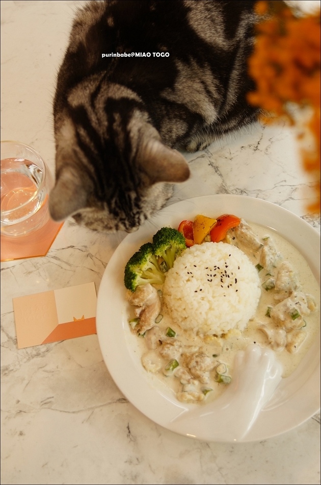 29爺吃綠咖哩雞肉飯1 29爺吃綠咖哩雞肉飯1