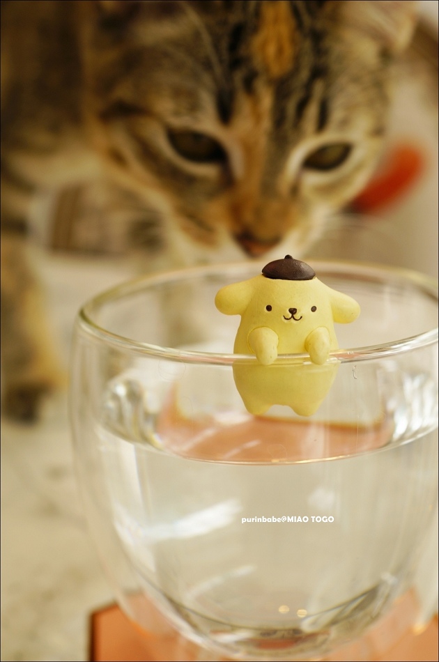 23貓咪喝水1 23貓咪喝水1