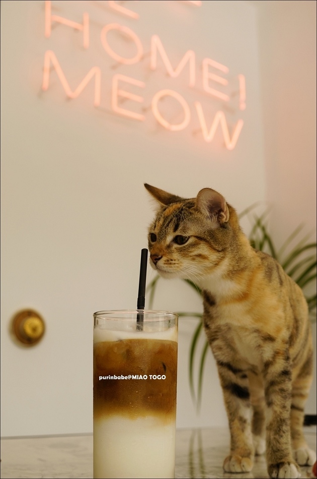 33冰那堤 33冰那堤