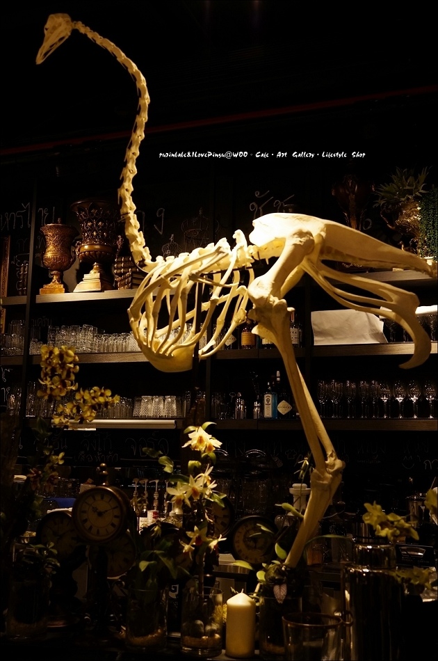 13鴕鳥骨骼 13鴕鳥骨骼