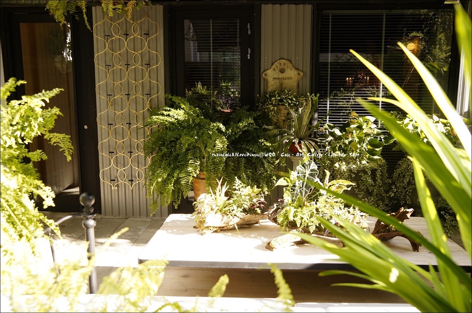 49WOO一隅4 49WOO一隅4