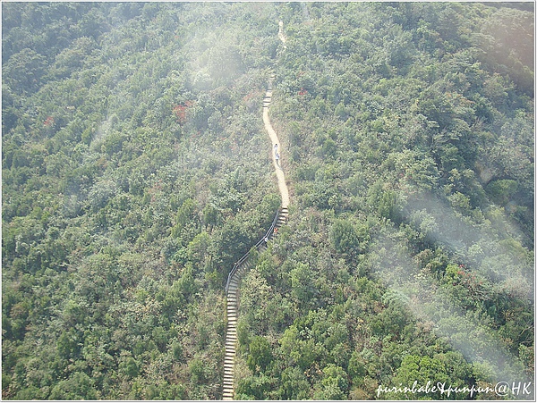 11山上步道.JPG