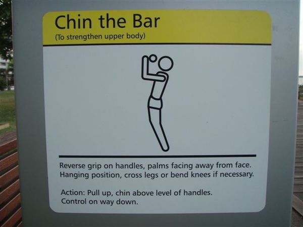 chin the bar