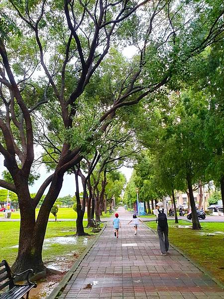 2023.8.17 陪孫漫遊雨後公園 🚶🚶‍♀️