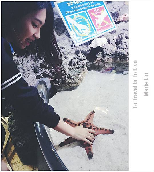 Photo 11-25-15, 14 26 06.jpg