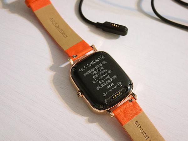 P1010472.JPG P1010472.JPG