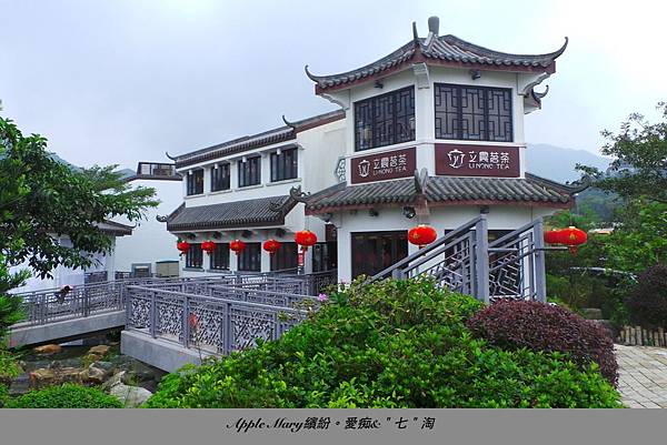 照片 (51) 照片 (51)