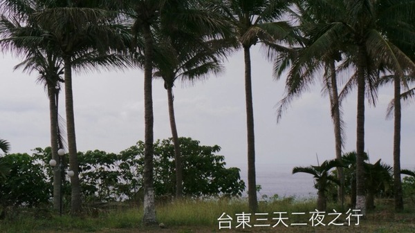 金樽陸連島：<台東三天二夜之旅>口袋名單中>遊記六~都蘭國小>金樽遊憩區