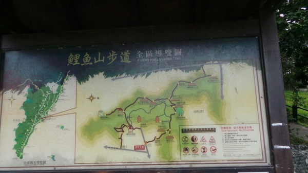 鯉魚山:<台東三天二夜之旅>口袋名單中>遊記三~鯉魚山 鯉魚山:<台東三天二夜之旅>口袋名單中>遊記三~鯉魚山