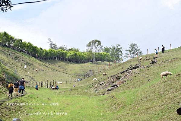 IMG_4576.JPG