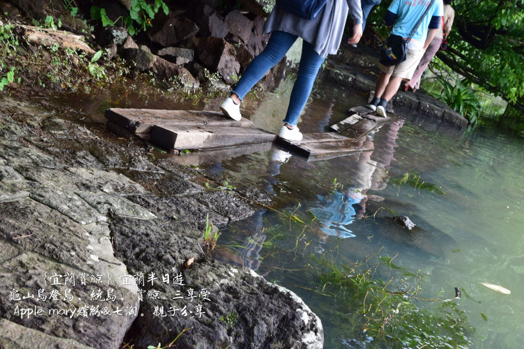 宜蘭一日遊就去龜山島吧！踏上神秘龜山島－登繞島、賞鯨三享受