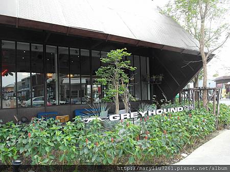 Greyhound cafe