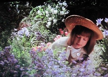 秘密花園 The Secret Garden 讀後感 明月何皎皎 痞客邦
