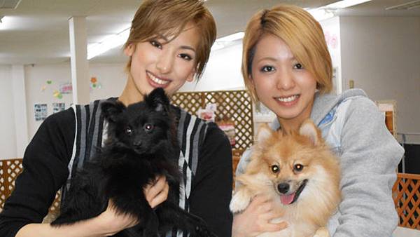 タカラヅカ プレシャス スター １７ 柚香光 礼真琴 Mary開講寶塚萬歲 痞客邦