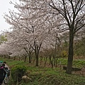 201804首爾 (261)汝怡島