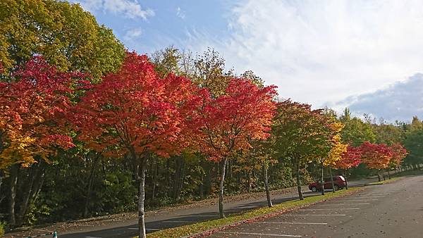 2018北海道 (533).JPG