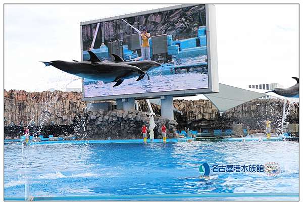 日本名古屋景點 名古屋港水族館 名古屋親子景點推薦 必看精彩海豚表演 內含交通 門票 玩樂完整攻略 加小菲愛碎碎念 痞客邦 日本名古屋景點 名古屋港水族館 名古屋親子景點推薦 必看精彩海豚表演 內含交通 門票 玩樂完整攻略 加小菲愛碎碎念 痞客邦