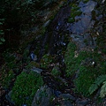 林道15K瀑布水源