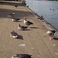 IMG_2382.JPG