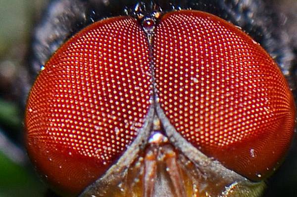 Cg-4jlLFWnuIbK_zAAMAou0Ve5EAABRsgMtjBcAAwC6083.jpg Cg-4jlLFWnuIbK_zAAMAou0Ve5EAABRsgMtjBcAAwC6083.jpg